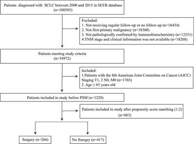 The role of surgery in older patients with T1-2N0M0 small cell lung cancer: A propensity score matching analysis